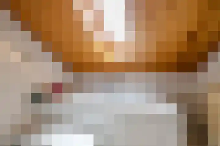 Koestraat 19 Farmsum thumbnail 42