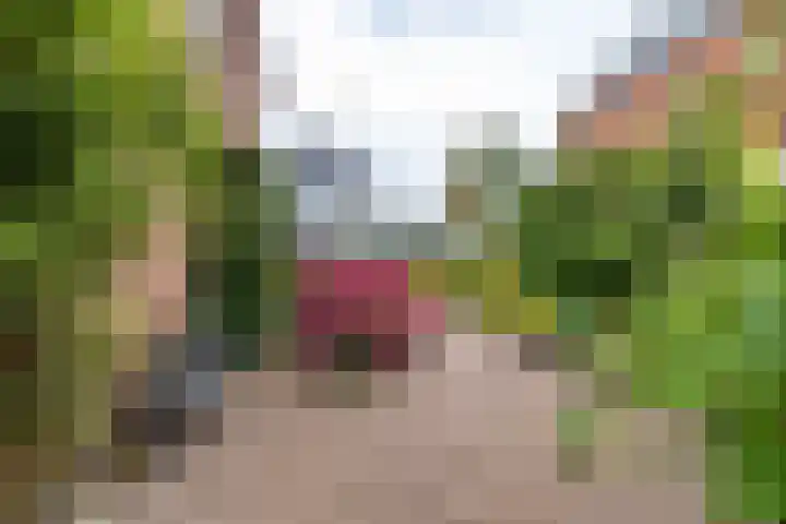 Koestraat 19 Farmsum thumbnail 46