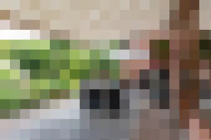 Koestraat 19 Farmsum thumbnail 49