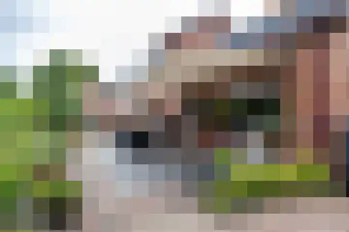 Koestraat 19 Farmsum thumbnail 51