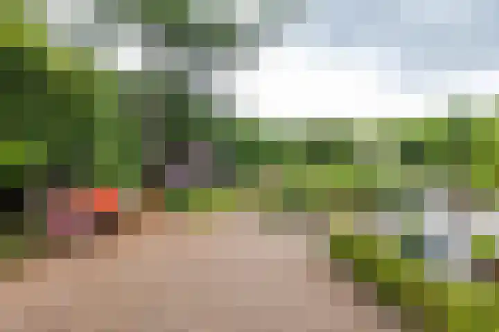 Koestraat 19 Farmsum thumbnail 52