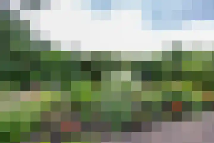 Koestraat 19 Farmsum thumbnail 53