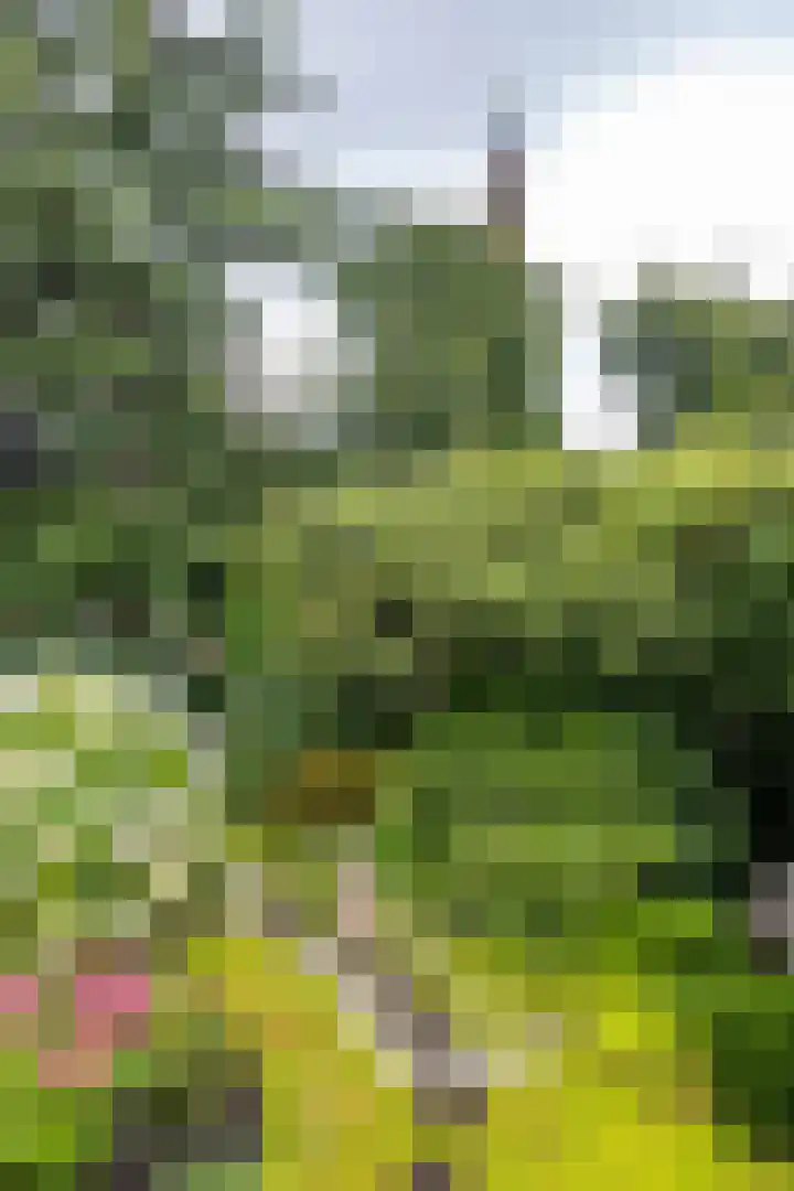 Koestraat 19 Farmsum thumbnail 54