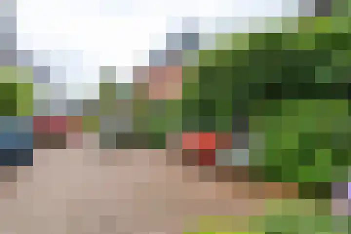 Koestraat 19 Farmsum thumbnail 57
