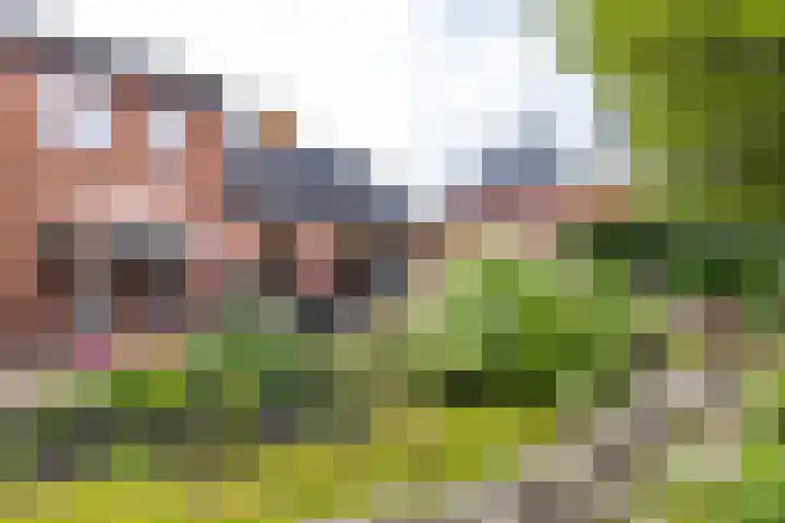Koestraat 19 Farmsum thumbnail 58