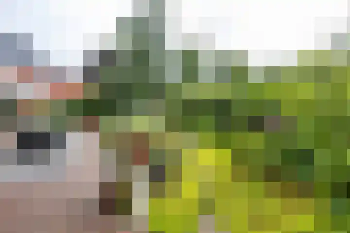 Koestraat 19 Farmsum thumbnail 59