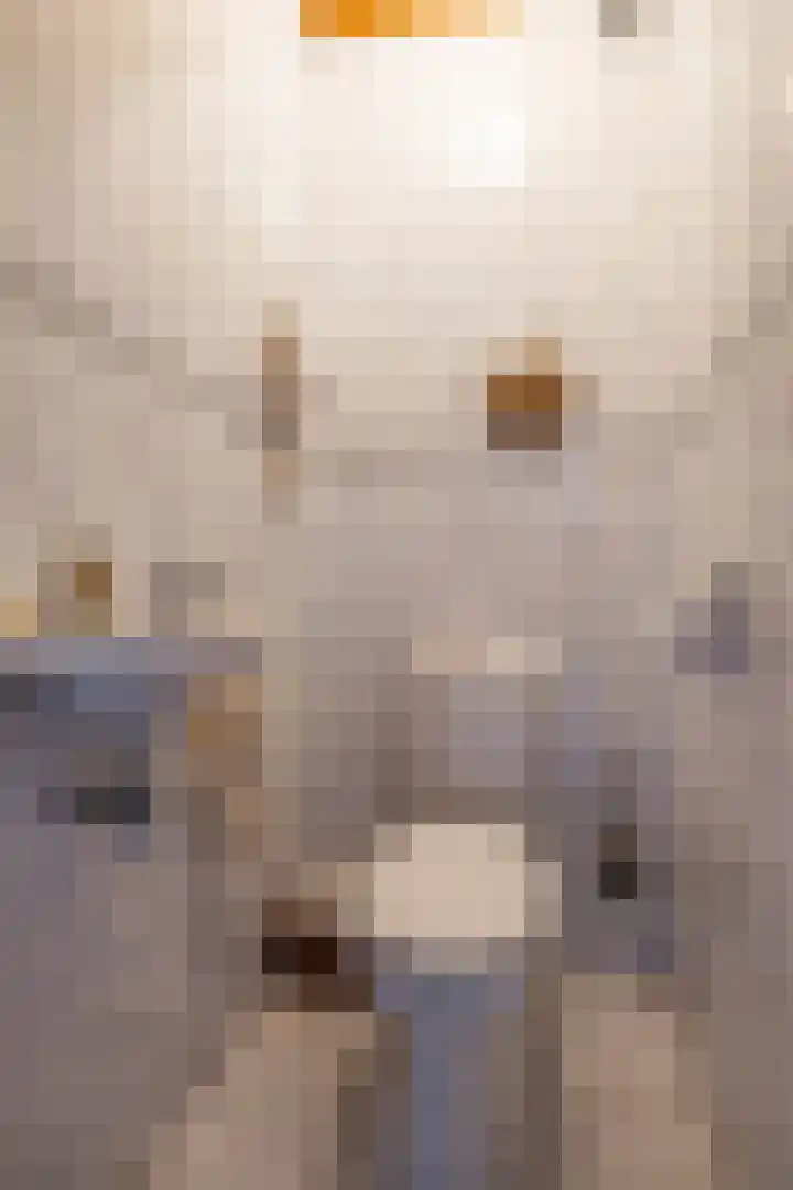 Koestraat 19 Farmsum thumbnail 6