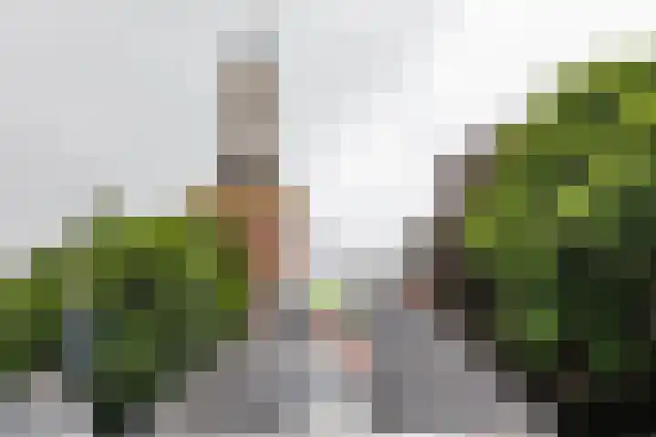 Koestraat 19 Farmsum thumbnail 63