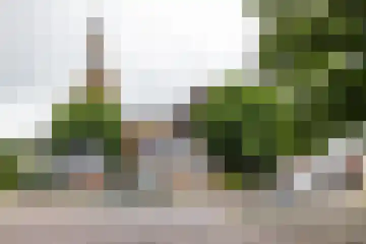 Koestraat 19 Farmsum thumbnail 64