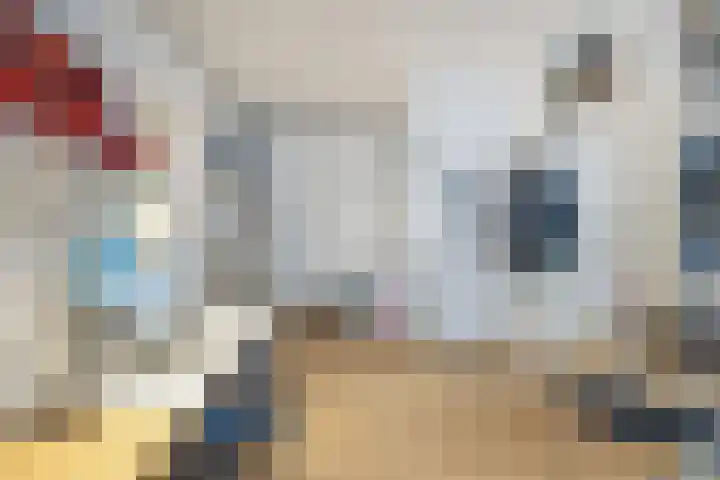 Koestraat 2 1 Amsterdam thumbnail 10