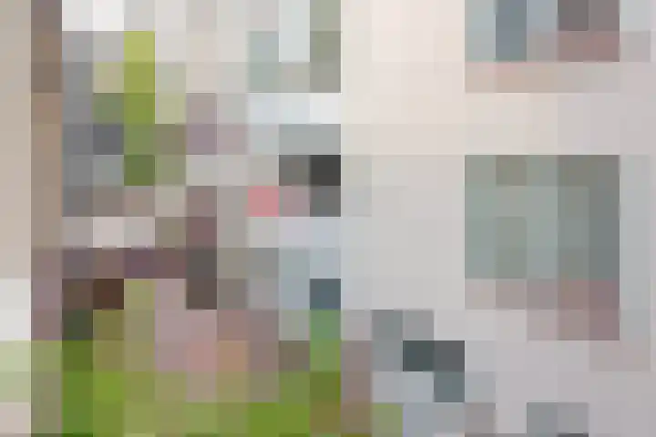 Koestraat 2 1 Amsterdam thumbnail 15