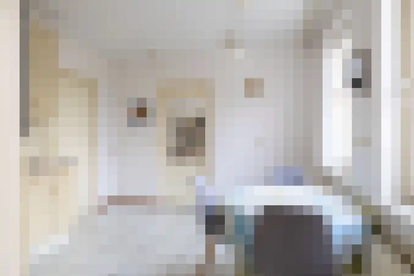 Koestraat 2 a Oudenbosch thumbnail 19