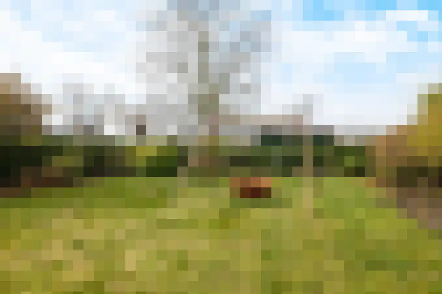 Koestraat 2 a Oudenbosch thumbnail 35