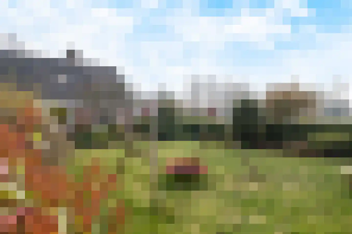 Koestraat 2 a Oudenbosch thumbnail 36