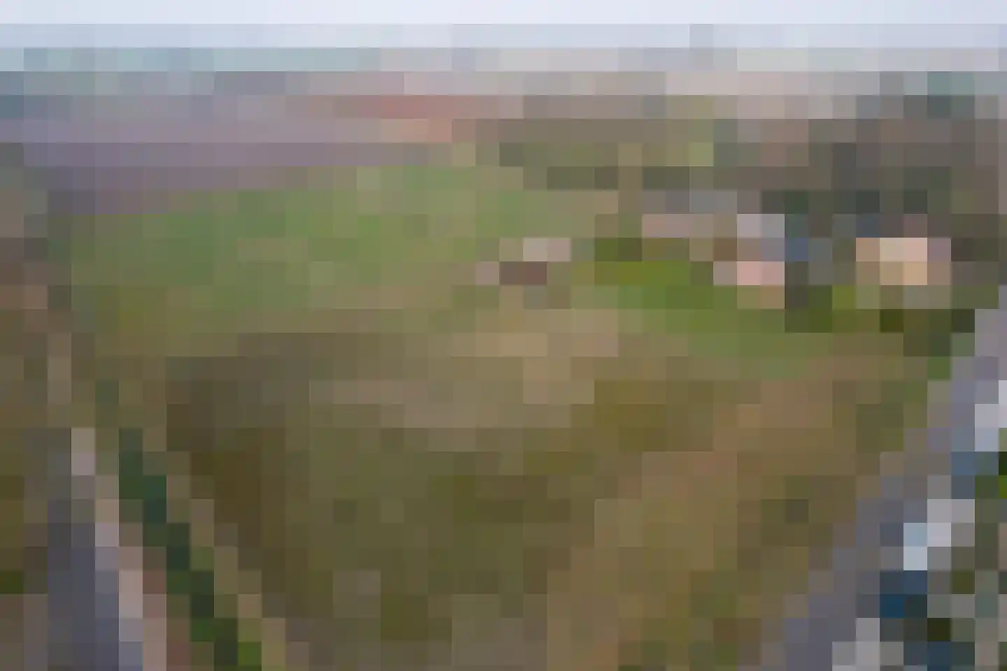 Koestraat 2 a Oudenbosch thumbnail 37