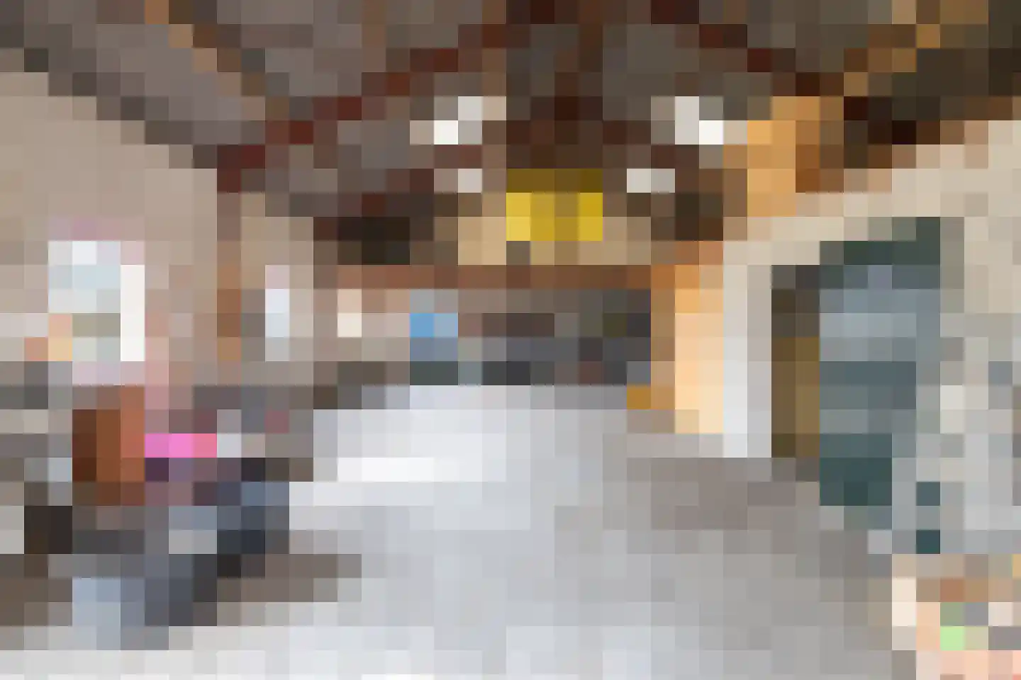 Koestraat 2 a Oudenbosch thumbnail 43