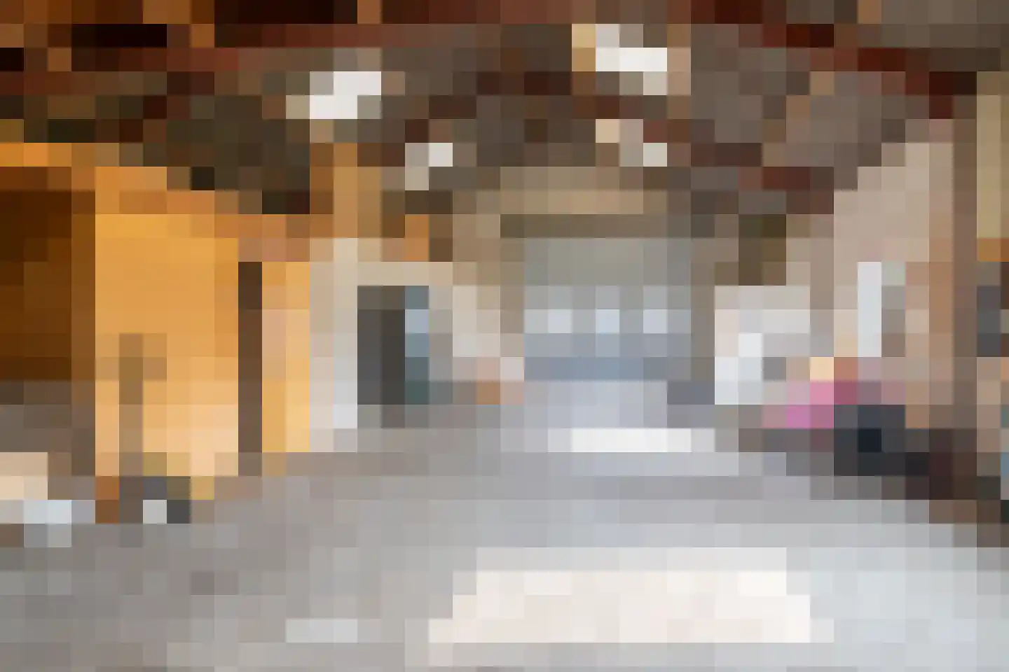 Koestraat 2 a Oudenbosch thumbnail 44