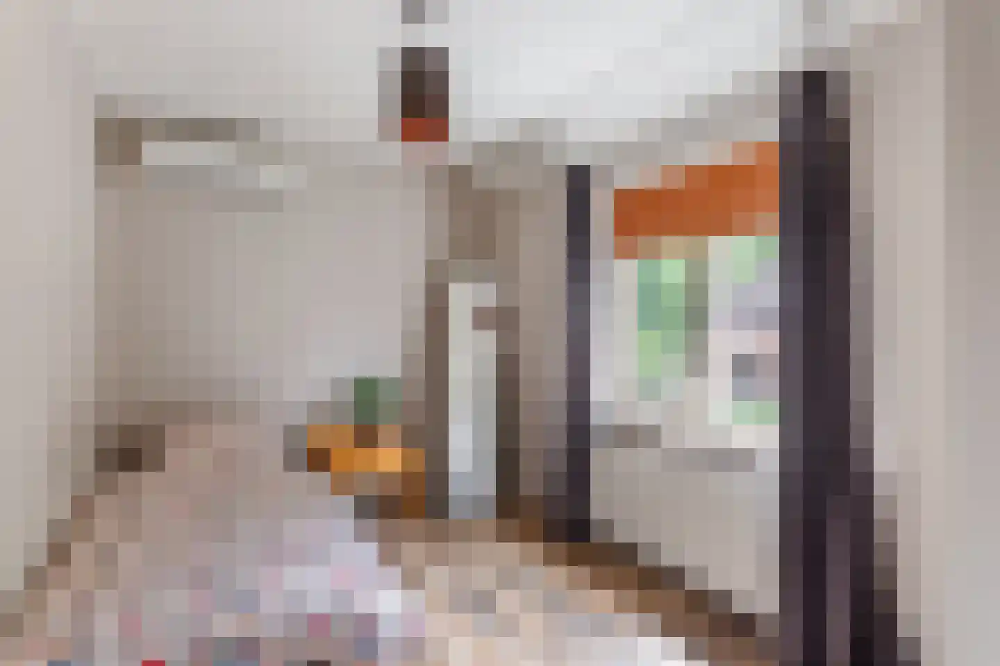 Koestraat 21 Hellendoorn thumbnail 10