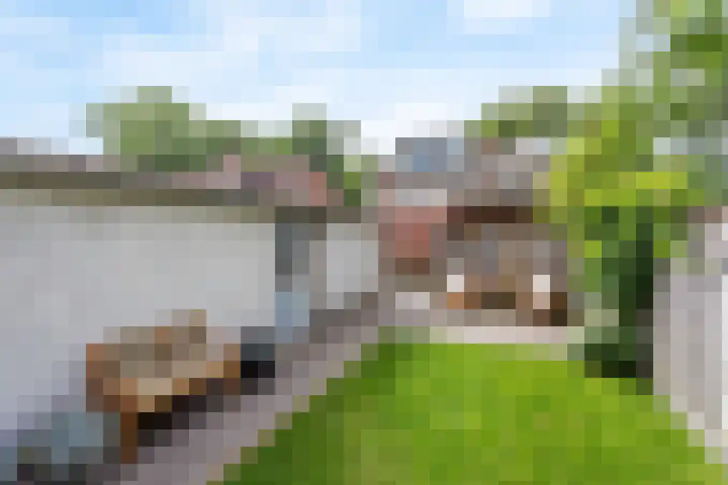 Koestraat 21 Hellendoorn thumbnail 13