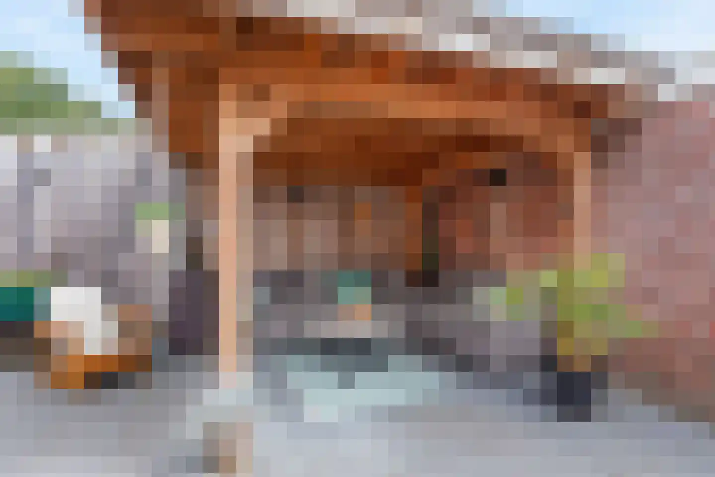 Koestraat 21 Hellendoorn thumbnail 15