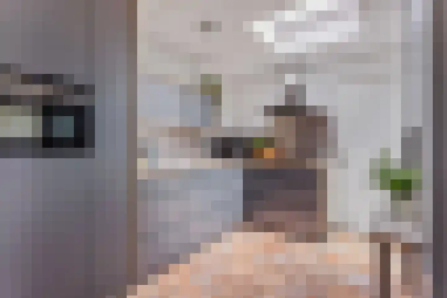 Koestraat 21 Hellendoorn thumbnail 7