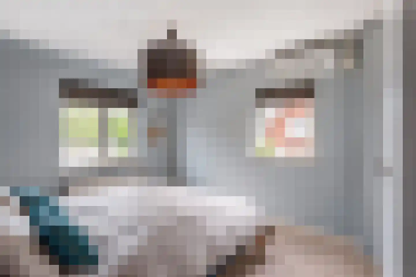 Koestraat 21 Hellendoorn thumbnail 9