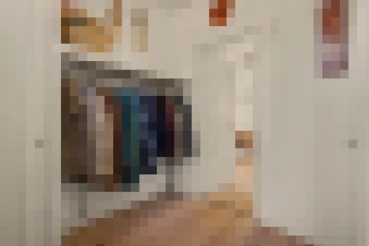 Koestraat 21 Vianen thumbnail 14