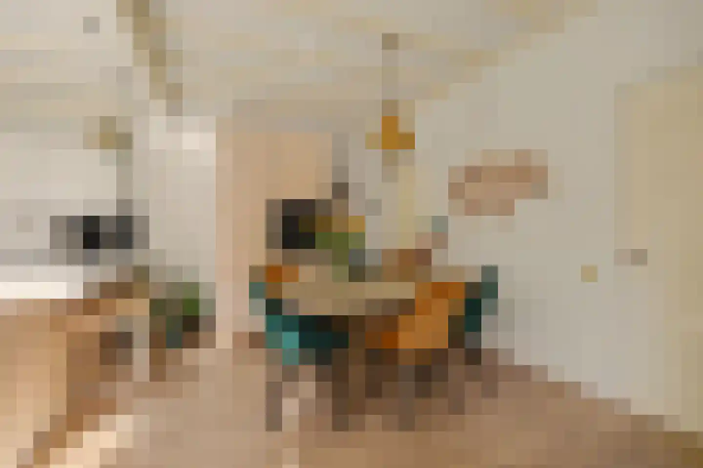 Koestraat 21 Vianen thumbnail 18