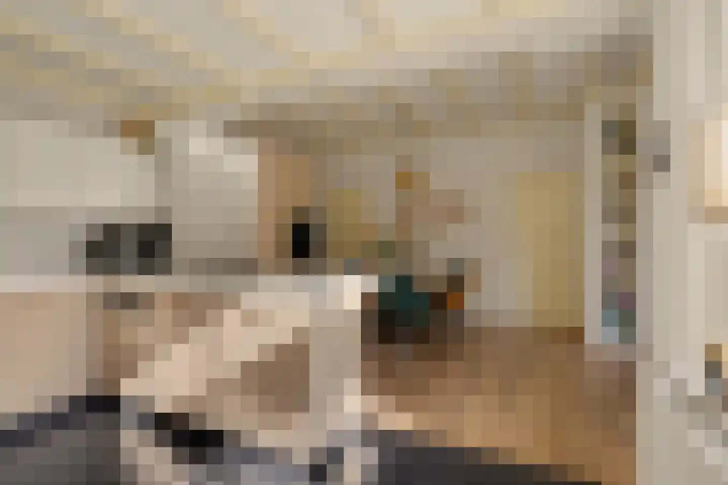 Koestraat 21 Vianen thumbnail 22
