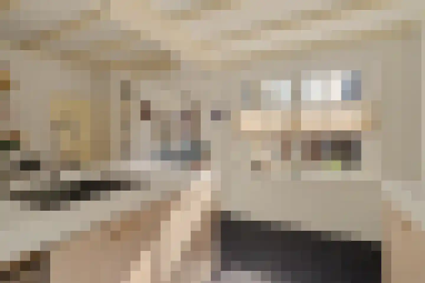 Koestraat 21 Vianen thumbnail 23