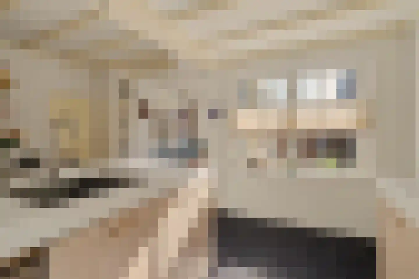 Koestraat 21 Vianen thumbnail 24