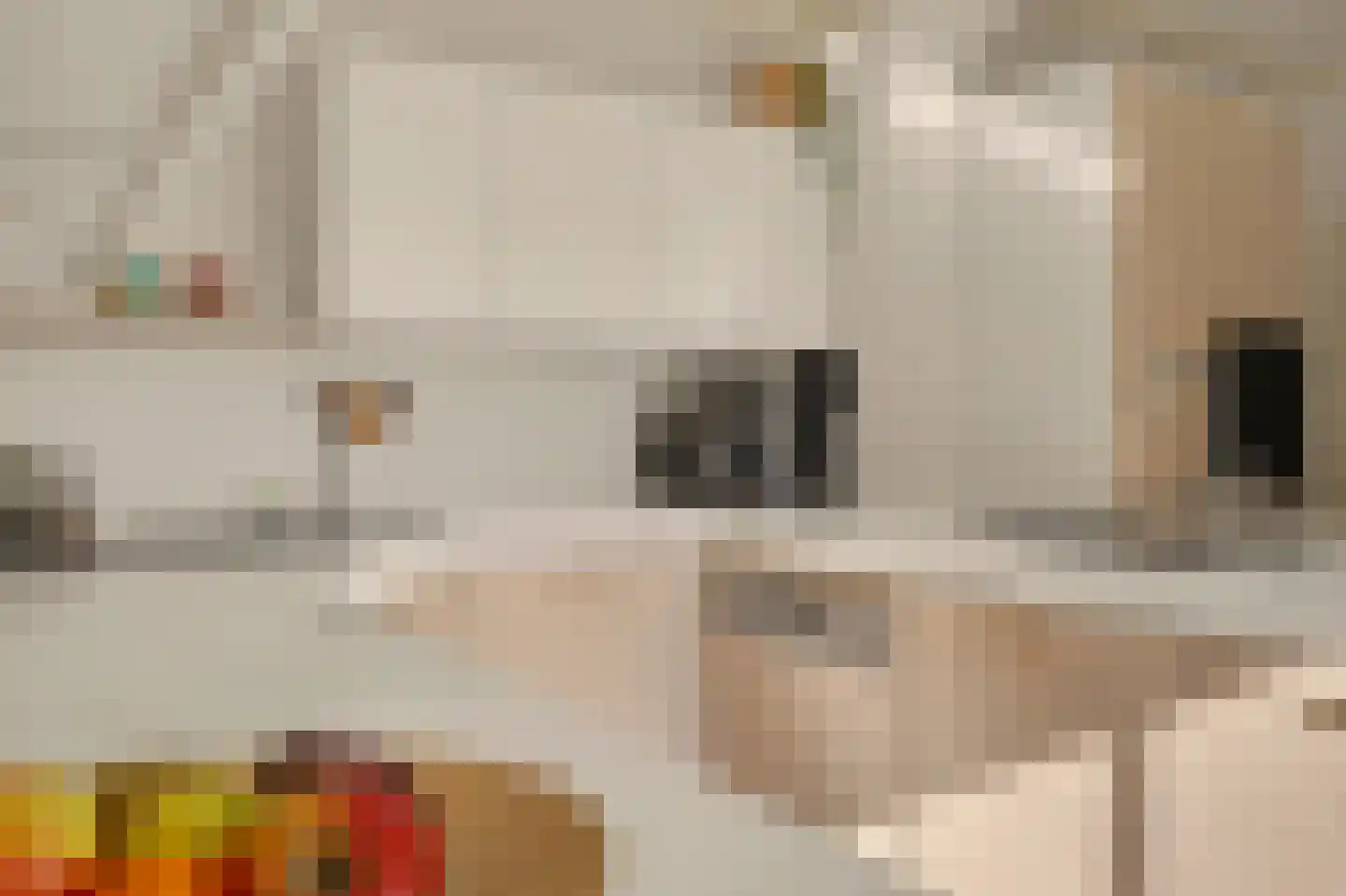 Koestraat 21 Vianen thumbnail 24