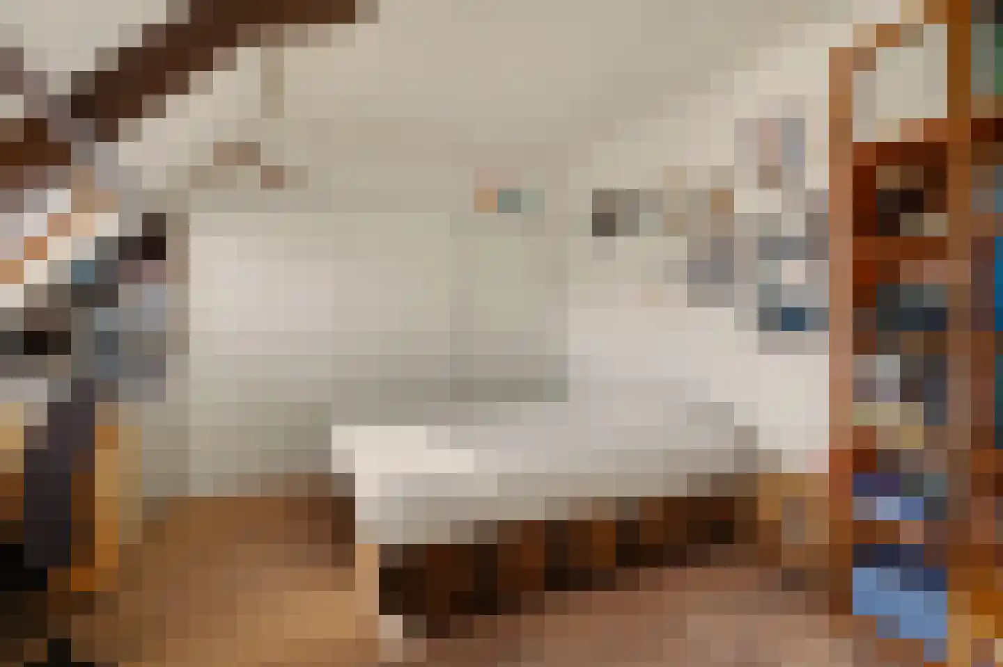 Koestraat 21 Vianen thumbnail 30