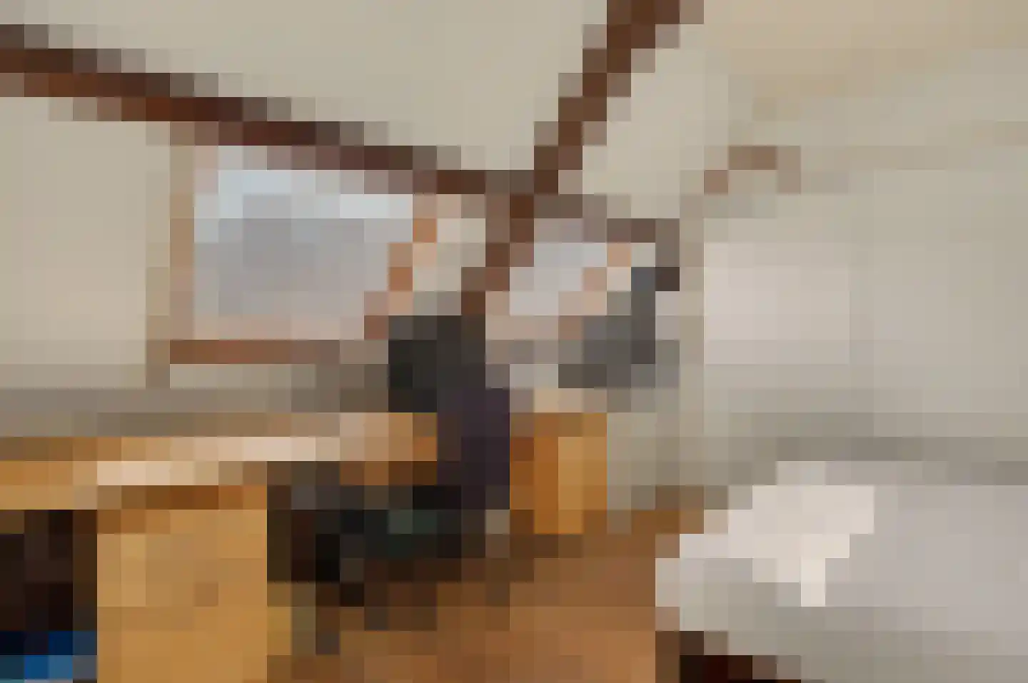 Koestraat 21 Vianen thumbnail 31