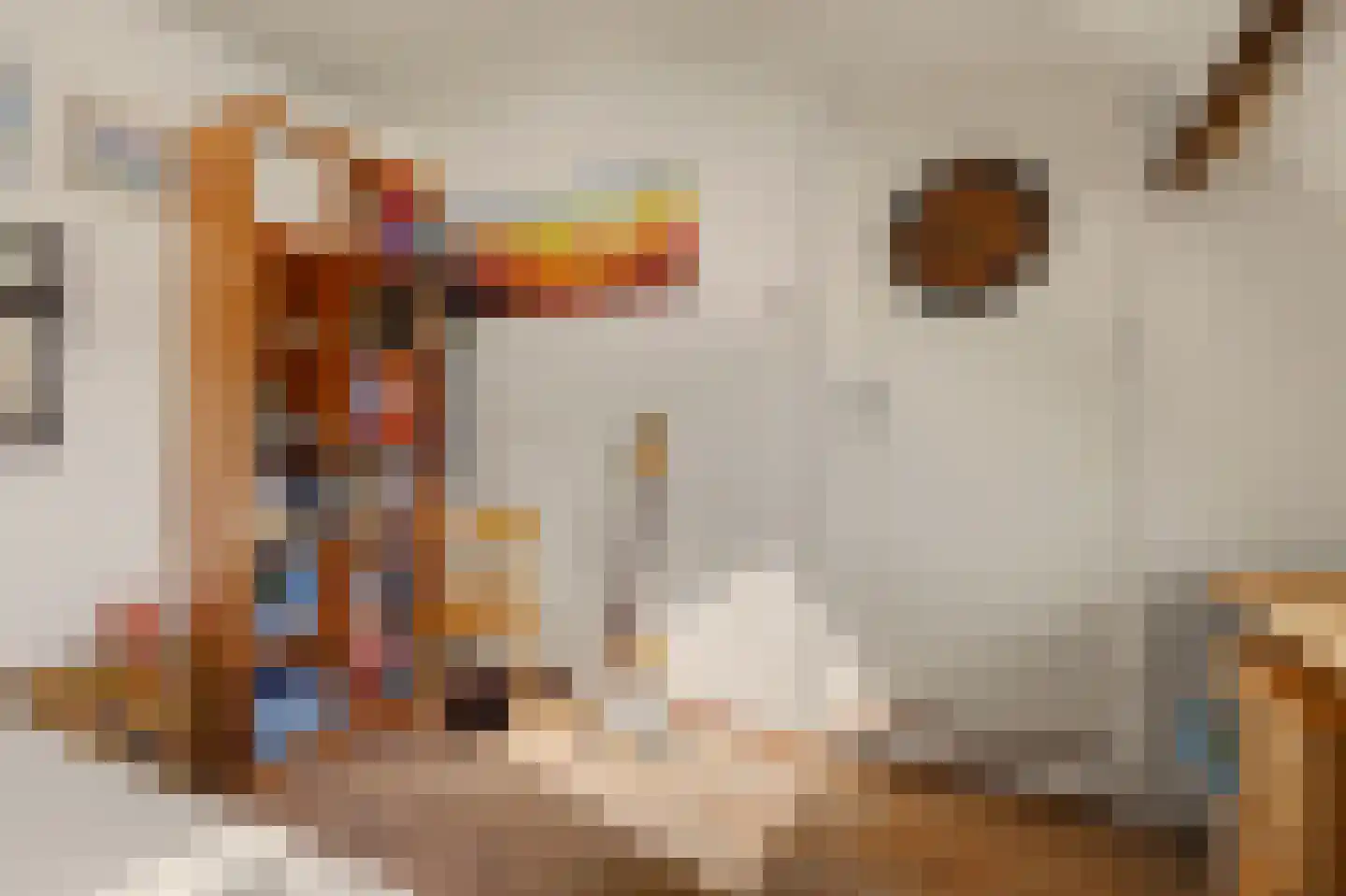 Koestraat 21 Vianen thumbnail 32