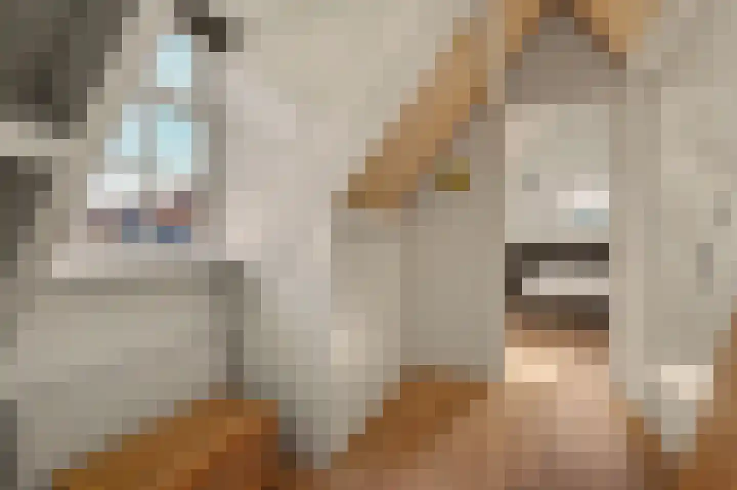 Koestraat 21 Vianen thumbnail 36