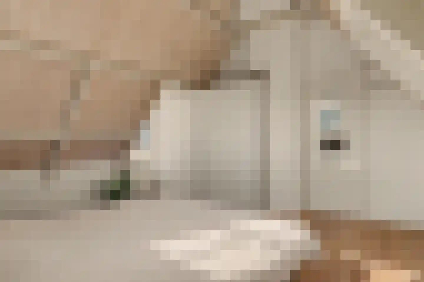 Koestraat 21 Vianen thumbnail 37