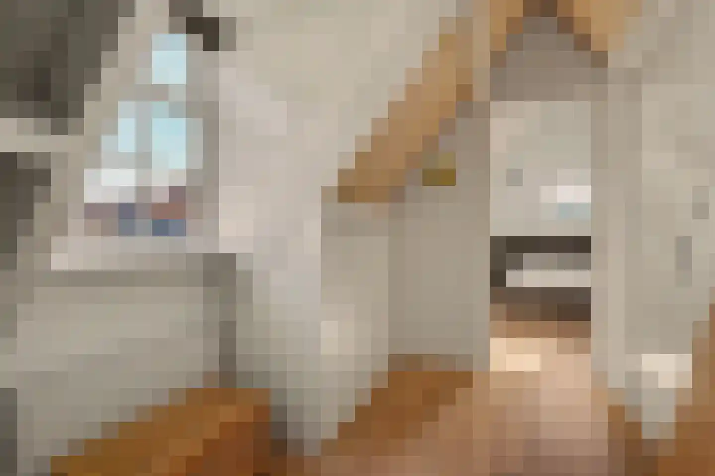 Koestraat 21 Vianen thumbnail 37