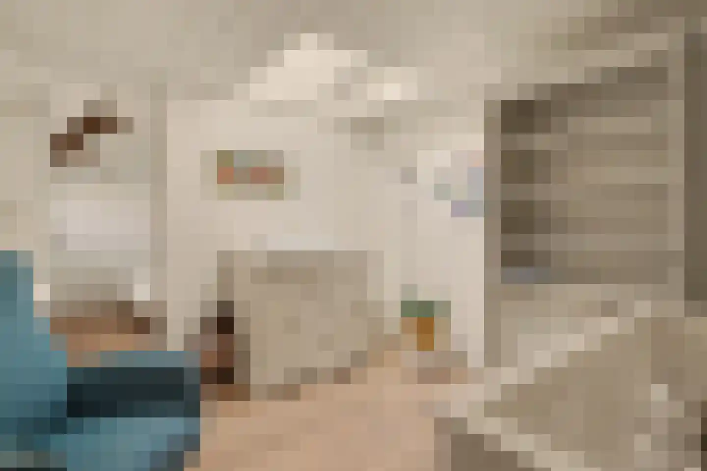 Koestraat 21 Vianen thumbnail 42