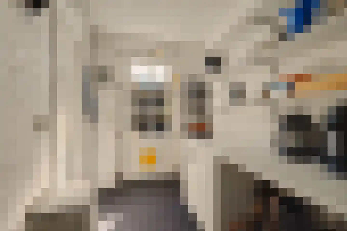 Koestraat 21 Vianen thumbnail 45