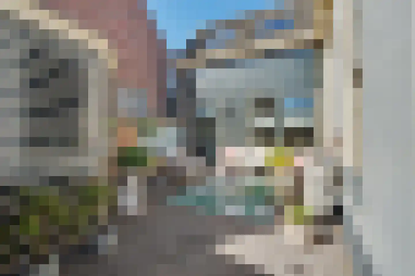 Koestraat 21 Vianen thumbnail 46