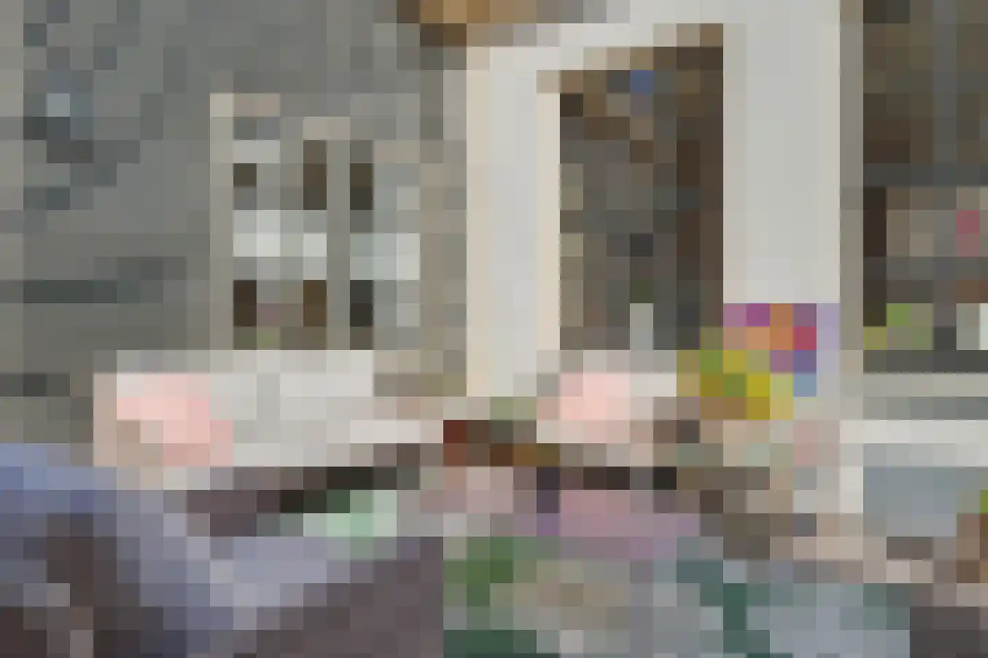 Koestraat 21 Vianen thumbnail 48