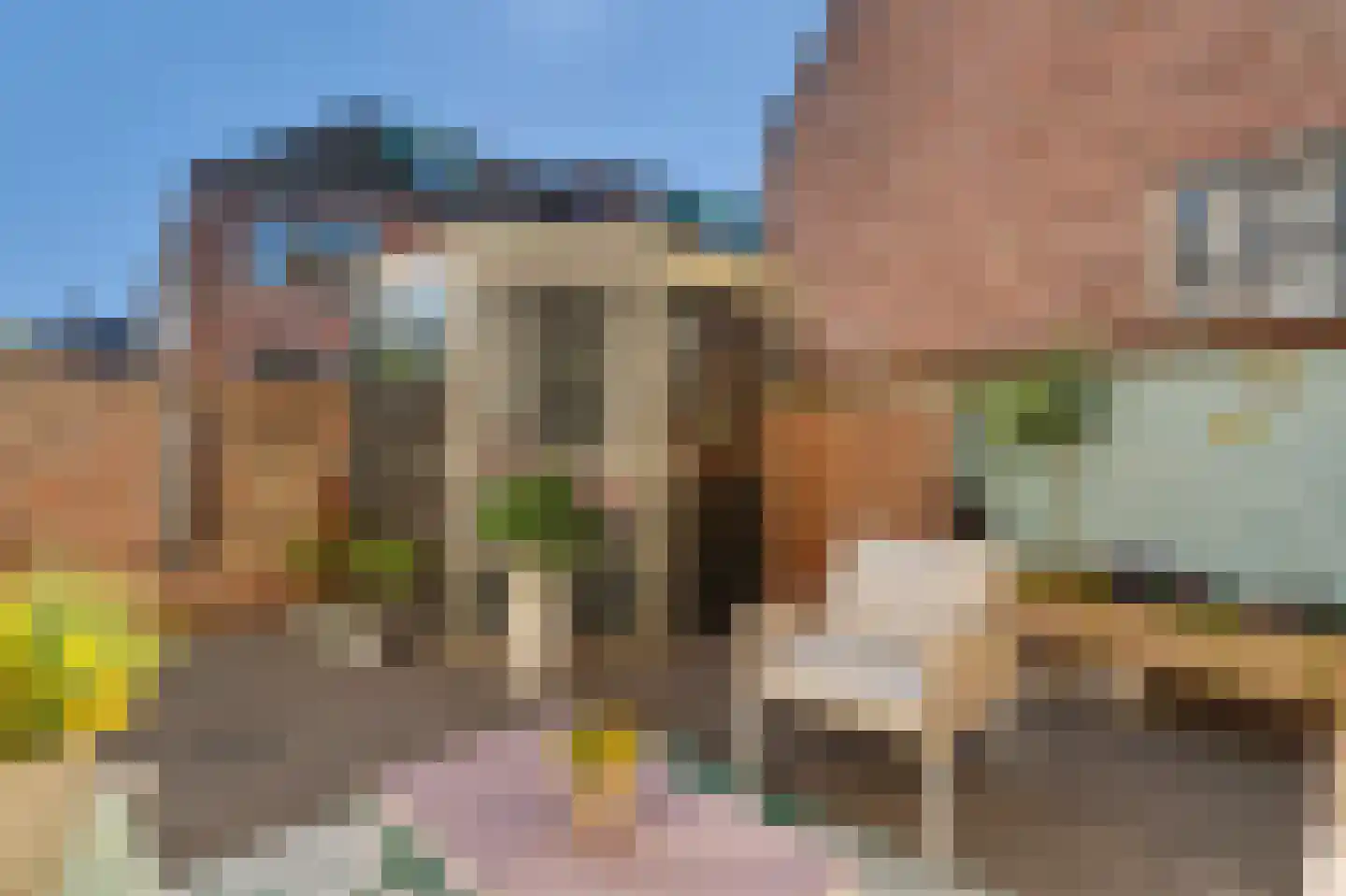 Koestraat 21 Vianen thumbnail 49