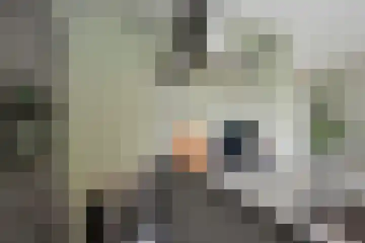 Koestraat 22 Wijhe thumbnail 11