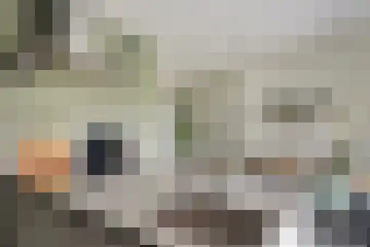Koestraat 22 Wijhe thumbnail 12