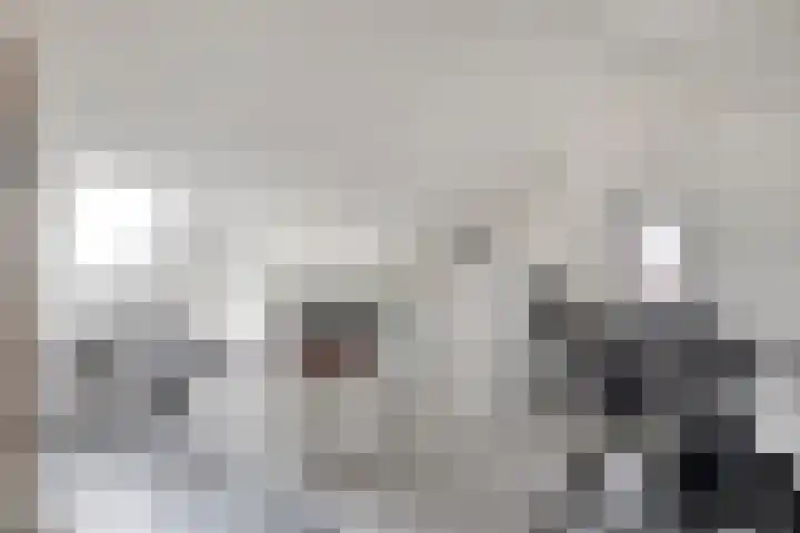 Koestraat 22 Wijhe thumbnail 23