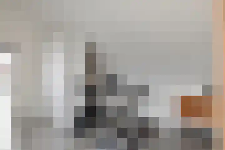 Koestraat 22 Wijhe thumbnail 24