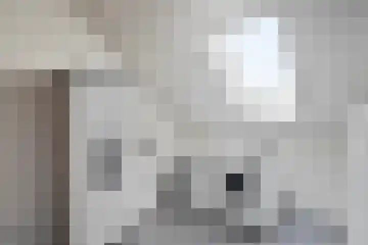 Koestraat 22 Wijhe thumbnail 26