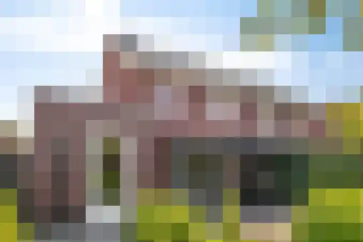 Koestraat 22 Wijhe thumbnail 27