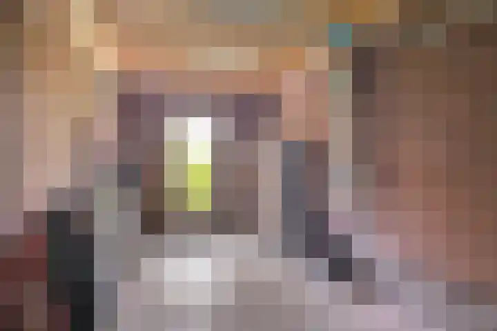 Koestraat 22 Wijhe thumbnail 28